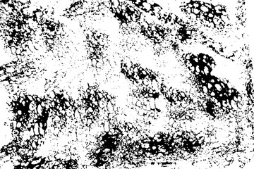 Obraz premium Abstract black sponge stains texture. Design for your brushes and grunge effects.