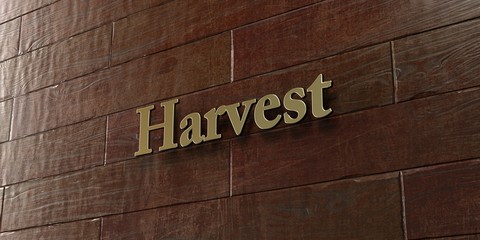 Harvest - Bronze plaque mounted on maple wood wall  - 3D rendered royalty free stock picture. This image can be used for an online website banner ad or a print postcard.