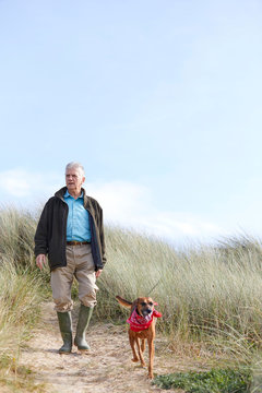 Man walking pet dog on sand dunes, Constantine Bay, Cornwall, UK