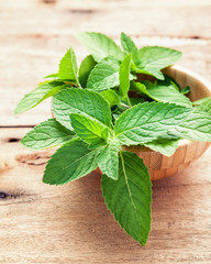 Closeup fresh growing peppermint leaves in bamboo bowl on shabby