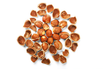 shell of nuts and nuts