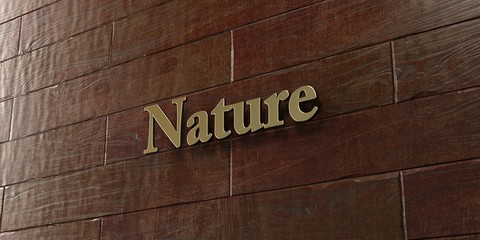 Nature - Bronze plaque mounted on maple wood wall  - 3D rendered royalty free stock picture. This image can be used for an online website banner ad or a print postcard.