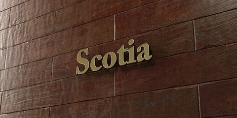 Scotia - Bronze plaque mounted on maple wood wall  - 3D rendered royalty free stock picture. This image can be used for an online website banner ad or a print postcard.