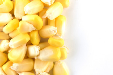 Close-up Corn isolated on a white background