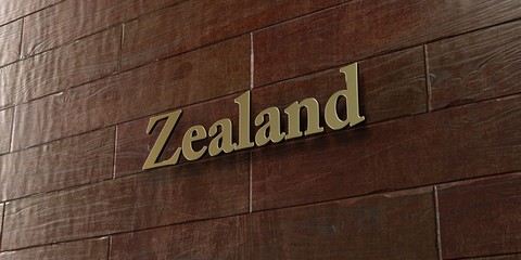 Zealand - Bronze plaque mounted on maple wood wall  - 3D rendered royalty free stock picture. This image can be used for an online website banner ad or a print postcard.