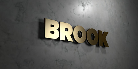 Brook - Gold sign mounted on glossy marble wall  - 3D rendered royalty free stock illustration. This image can be used for an online website banner ad or a print postcard.