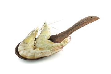 Raw shrimps isolated