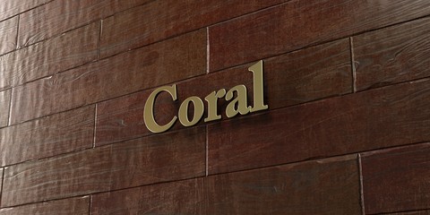 Coral - Bronze plaque mounted on maple wood wall  - 3D rendered royalty free stock picture. This image can be used for an online website banner ad or a print postcard.