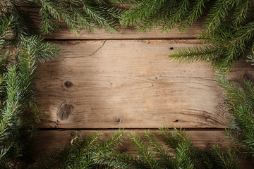 Christmas fir tree background