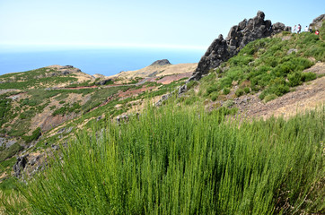 Fototapeta na wymiar Strada per il Pico do Arieiro a Madeira