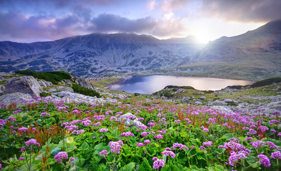 Fototapeta na wymiar lake on mountain and flowers