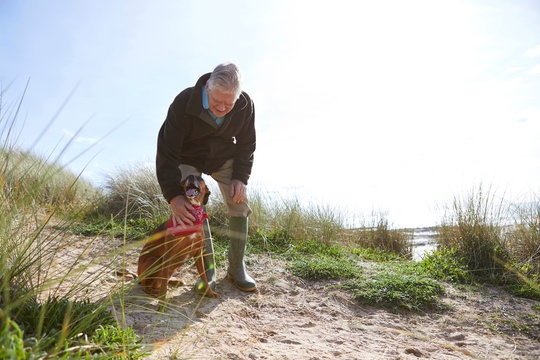 Man stroking pet dog on sand dunes, Constantine Bay, Cornwall, UK