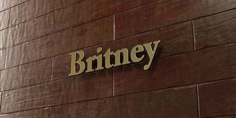 Britney - Bronze plaque mounted on maple wood wall  - 3D rendered royalty free stock picture. This image can be used for an online website banner ad or a print postcard.