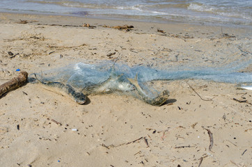 Freshly caught fish on dirty sand