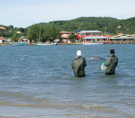 Fototapeta na wymiar Two fishermen working with the help of the dolphins that take the shoal to them for them to play the net on a beach in santa catarina brazil