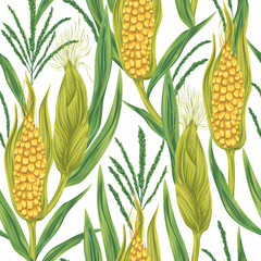 Seamless pattern with corn. Cobs, blossom branch and leaf. Collection decorative design elements. Vintage vector illustration in watercolor style.