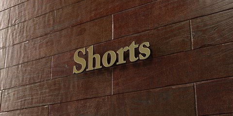 Shorts - Bronze plaque mounted on maple wood wall  - 3D rendered royalty free stock picture. This image can be used for an online website banner ad or a print postcard.