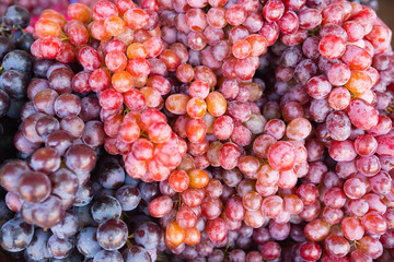 Red grapes