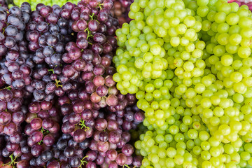 grapevine