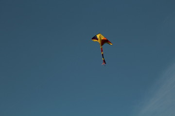 Kite in the sky