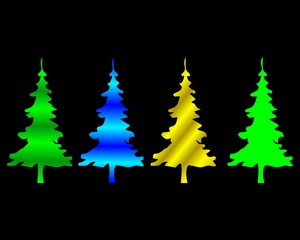Obraz premium fir, pine, logo