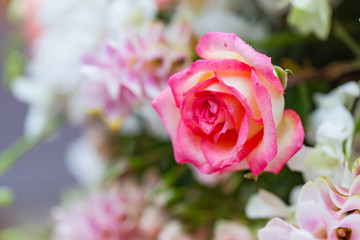 Closeup roses bouquet