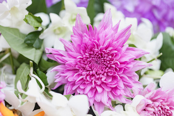 Bouquet of flowers Purple chrysanthemums with orchid