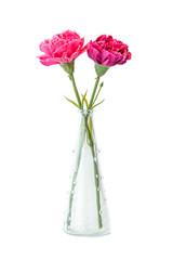 Artificial pink and violet carnations in vase on white backgroun