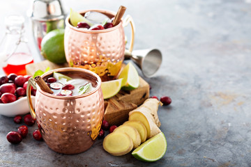 Moscow mule cocktail with ginger and cranberry