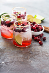 Cold winter cocktail with cranberry and lime