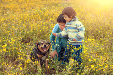 Little girl with her brother on the flower field with dog