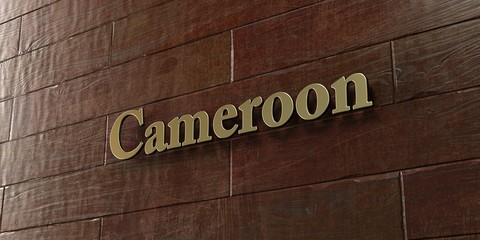 Cameroon - Bronze plaque mounted on maple wood wall  - 3D rendered royalty free stock picture. This image can be used for an online website banner ad or a print postcard.