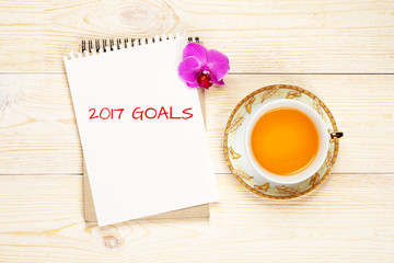 Obraz na płótnie Canvas 2017 goals