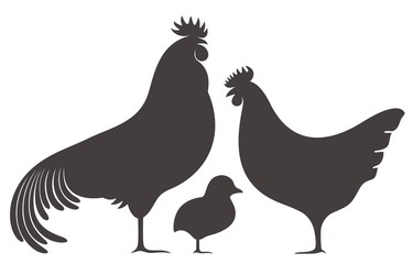 Poultry. Silhouette