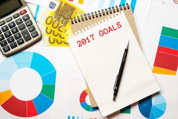 2017 goals