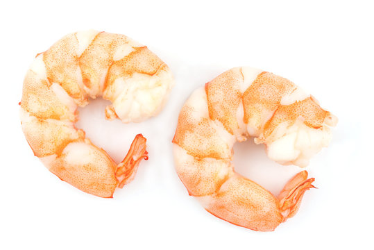 Shrimps. Prawns isolated on a White Background .Seafood