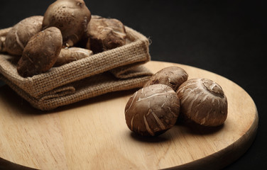 Shiitake mushrooms on wood block in black background