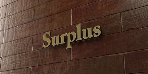 Surplus - Bronze plaque mounted on maple wood wall  - 3D rendered royalty free stock picture. This image can be used for an online website banner ad or a print postcard.