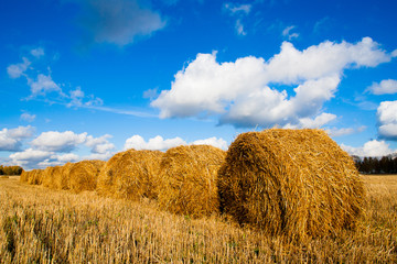 Straw in the field