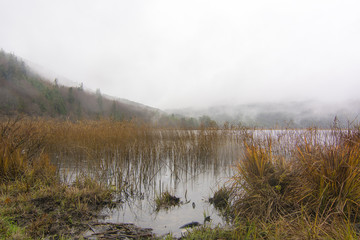Bolu Abant Golcuk ,lakes
