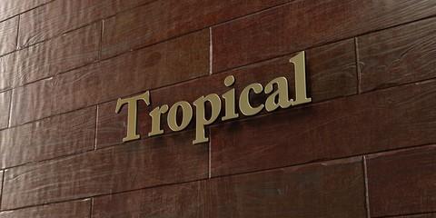 Tropical - Bronze plaque mounted on maple wood wall  - 3D rendered royalty free stock picture. This image can be used for an online website banner ad or a print postcard.