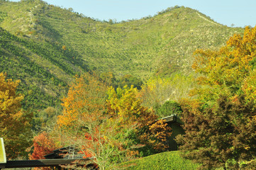 兵庫県高砂市・山・稜線と池の風景