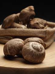 Shiitake mushrooms on wood block and the mushroom in sack on black background