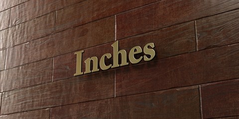 Inches - Bronze plaque mounted on maple wood wall  - 3D rendered royalty free stock picture. This image can be used for an online website banner ad or a print postcard.