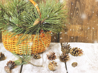 Wicker basket with coniferous branches and cones