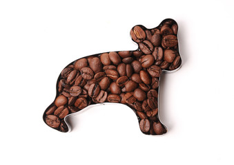 Coffee beans in the shape of bear on a white background