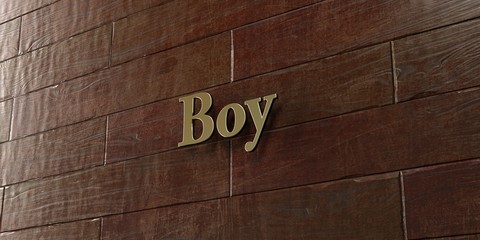 Boy - Bronze plaque mounted on maple wood wall  - 3D rendered royalty free stock picture. This image can be used for an online website banner ad or a print postcard.