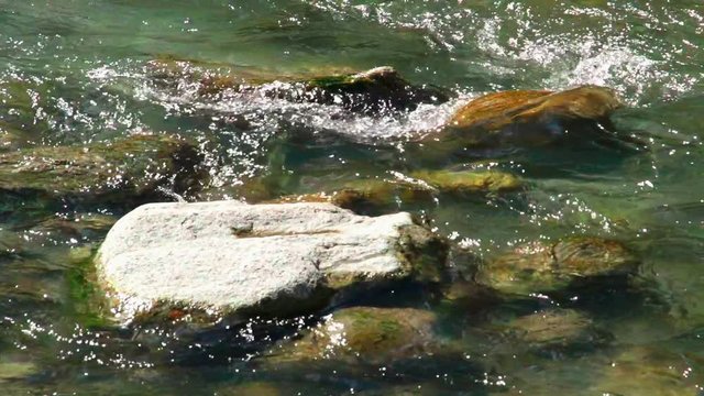 River slowmotion tracking shot