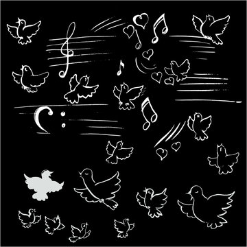 birds and notes vector