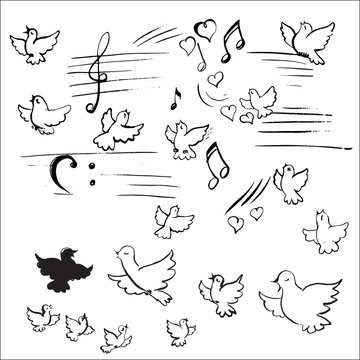 birds and notes vector